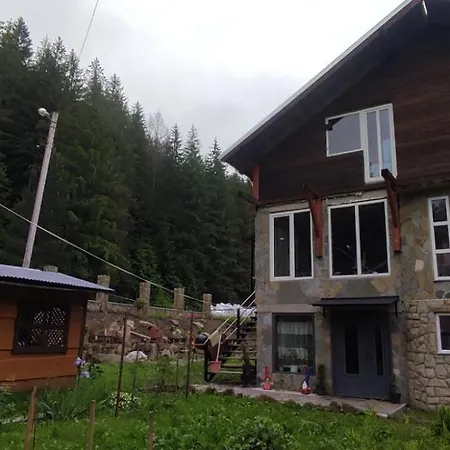 шепіт лісу Yaremche